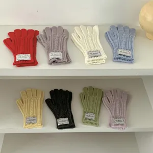 Guanti caldi autunno inverno da donna a trecce eleganti multicolore accoglienti guanti di lana