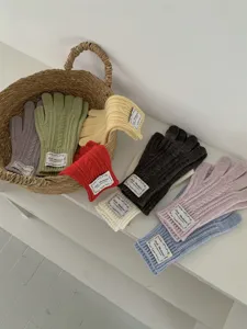 Guanti in maglia multicolore dettagliati con motivo a trecce, accessori invernali caldi.