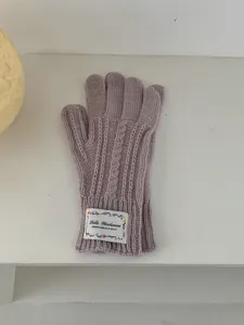 Comodi guanti in maglia a trecce da donna, caldi guanti invernali con etichetta al polso.