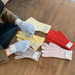 Guanti invernali in maglia a trecce caldi da donna, eleganti mitten di lana multicolore.