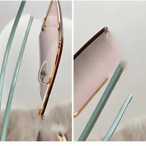 Gros plan détaillé de lunettes de soleil sans monture à verres roses dégradés et branches vertes.