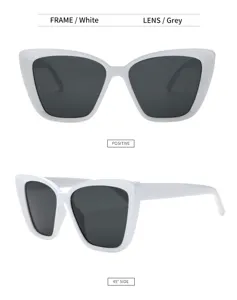 Katzenaugen Sonnenbrille Detailansicht, weißer Rahmen und graue Gläser, stilvoll.