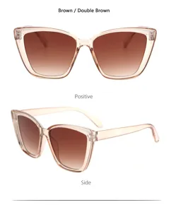 Detailansicht der Cat-Eye-Sonnenbrille mit braunen Gläsern und transparentem Gestell.