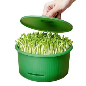 Scatola per germogliare idroponica per coltivare facilmente germogli e verdure verdi a casa.
