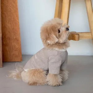 Détail du sweat-shirt mignon pour chien en marron clair, vêtements pour animaux brodés.