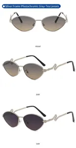 Herren Sonnenbrille Metallrahmen mit Farbverlauf Gläsern und stilvollem Schlangen Dekor.