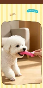 TPR spiky dog bone chew toy for small dogs pet teeth cleaning interactive play supply