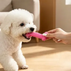 Pink TPR Spiked Bone Dog Chew Toy for Small Dogs Interactive Teething Toy Puppy Play