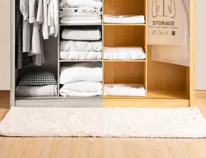 Sac de rangement sous vide suspendu pour armoire, organiseur gain de place pour vêtements.