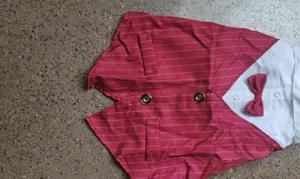 Detailed view of the red pinstripe pet suit waistcoat with white collar and red bow tie.