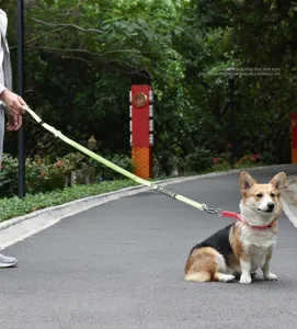 Reflective buffer dog leash for large dogs anti-shock pet traction rope outdoor walking