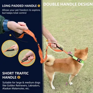 Double handle pet dog leash detail showing soft padded grip and short traffic handle in use.