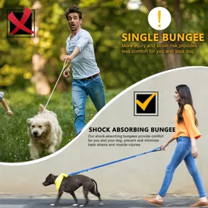 Shock absorbing dog leash for large dogs, anti pull elastic pet leash for walking training.