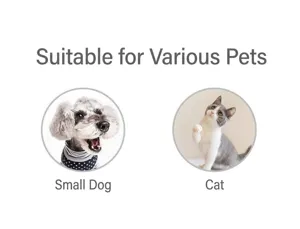 Pet collar suitable for various small dogs and cats, comfortable and stylish daily wear accessory.
