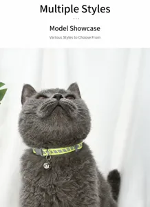 Detailed close-up of a reflective pet cat collar with a cute bell worn by a cute grey cat.