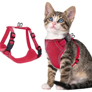 Harnais et laisse respirants en maille pour chat anti-fuite gilet chaton rouge soft
