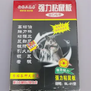 Plaque adhésive robuste pour souris avec colle et appât pour le contrôle efficace des nuisibles.