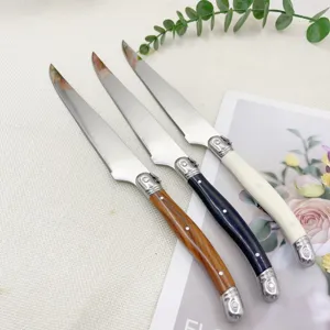 Ensemble de couteaux a steak en acier inoxydable avec manches colores pour repas.