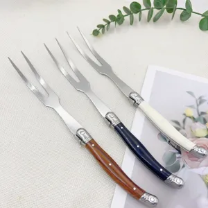 Ensemble de fourchettes à découper en acier inoxydable avec manches colorés pour steak.