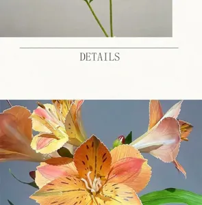Close-up detail of artificial alstroemeria flower petals with vibrant orange gradient.
