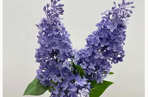 Artificial lilac flower soft rubber bouquet for living room home interior decoration display