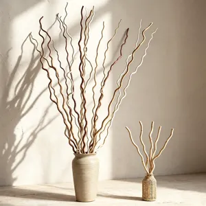 Natural Willow Branches Wabi-Sabi Dried Flowers For Home Living Room Floor Vase Decor Organic Plant Twigs