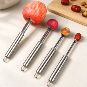 Stainless Steel Jujube Date Pitter Fruit Corer Cherry Hawthorn Core Remover Kitchen Tool Slicer Set