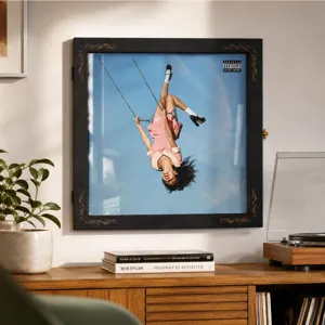 Black frame with gold corner ornamentation displays a record cover on a living room wall