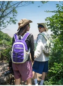 Zwei Wanderer tragen violette und grüne Rucksäcke auf einem sonnigen Waldweg, von hinten gesehen