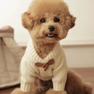 Cagnolino marrone con maglione lavorato a maglia color avorio, colletto a V e alamari marroni