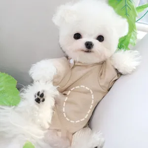Small white dog wearing a beige knit shirt with a dashed heart and buttoned neckline