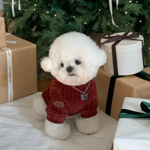 Petit chien blanc en pull tricoté rouge assis près de cadeaux sous un sapin de Noël