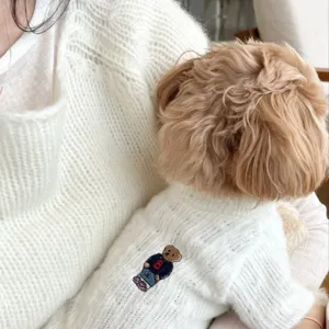 Primer plano de un perro pequeño con suéter blanco de punto y un pequeño oso bordado