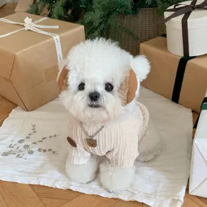 Petit chien blanc en pull tricoté crème, avec pendentif ourson et cache-oreilles près des cadeaux