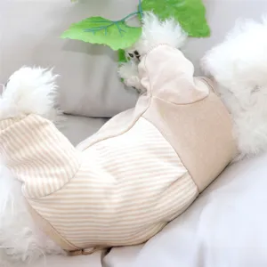 Close-up of a small white dog wearing a beige striped knit outfit with a solid tan panel