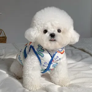 Petit chien blanc portant un gilet imprimé à bordure bleue, photographié assis sur un lit