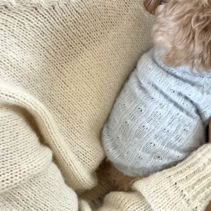 Close-up of a light-blue knit with openwork texture worn by a small curly-haired dog