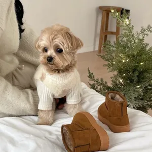 Small dog in a white ribbed knit sweater beside brown suede boots in a cozy holiday setting