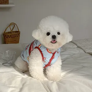 Petit chien blanc en gilet bleu à motif arc-en-ciel, bordure rouge, photographié dans un intérieur
