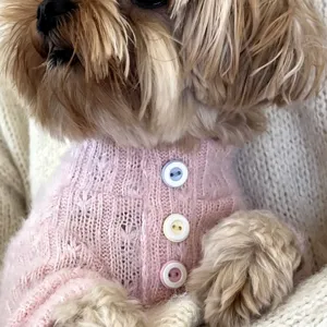 Close-up of a small dog wearing a pink knitted cardigan with three colorful buttons