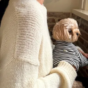 Small dog in a black-and-white striped shirt held beside a person in a cream knit sweater