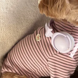 Close-up of a small dog wearing a pink and brown striped knit top with a heart charm