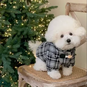 Chien blanc frisé en manteau à carreaux noir et blanc, boutons en bois, près d'un sapin illuminé