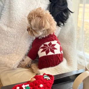 Petit chien portant un pull rouge en maille avec un flocon blanc, assis près d’une fenêtre lumineuse