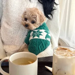 Petit chien portant un pull vert en maille torsadée à motifs blancs d’hiver, assis près de boissons