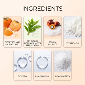 Ingredient chart with persimmon, tea tree leaves, soap flakes, glycerin and other skincare materials