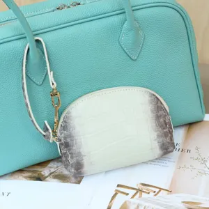 Close-up of mint handbag with a cream crocodile-embossed pouch, gold clasp and magazine backdrop