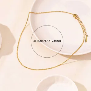 Fine gold chain laid on a white plate, showing lobster clasp, extender and 45+5 cm length