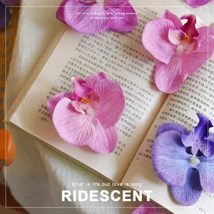 Realistische Kunstmatige Phalaenopsis Orchidee Bloemhoofd 3D Geprint Stof Simulatie Bloem Voor DIY Haarklem Taart Decoratie
