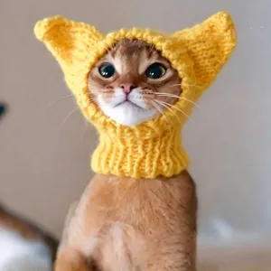 Knitted Pet Hat For Dogs Cats Halloween Dinosaur Cartoon Warm Windproof Crochet Pet Headgear For Autumn Winter